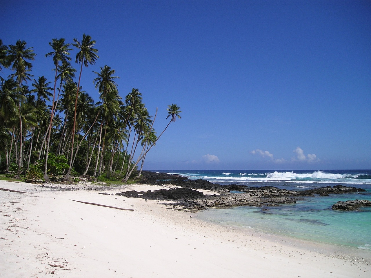 Bild von Simon auf Pixabay